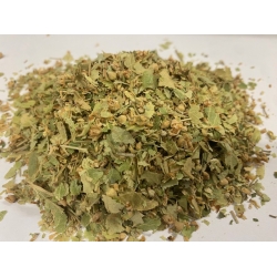 Lipa Srebrzysta Kwiat tilia tomentosa 1 Kg